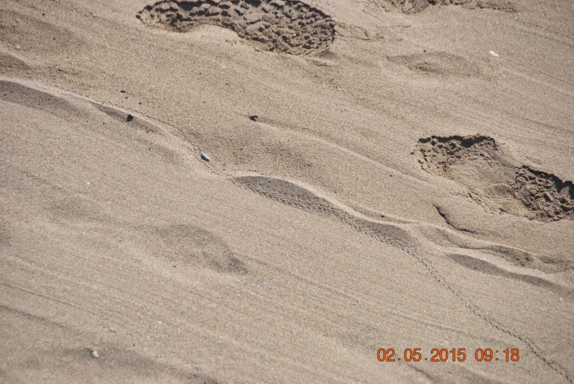 imagini hotel SUSESI BELEK